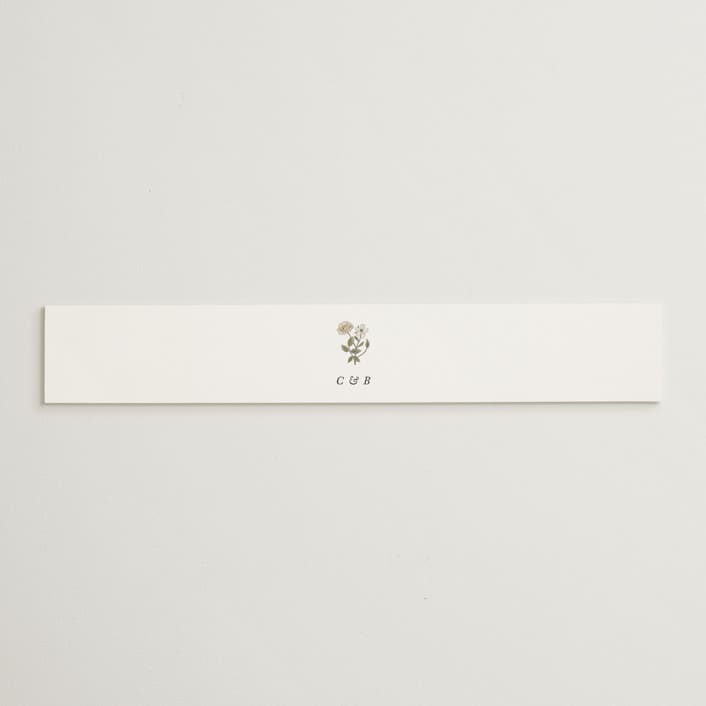 "Vintage Roses" - Belly Bands in Snow by Cedar and Grey - Assembled with Invitation
