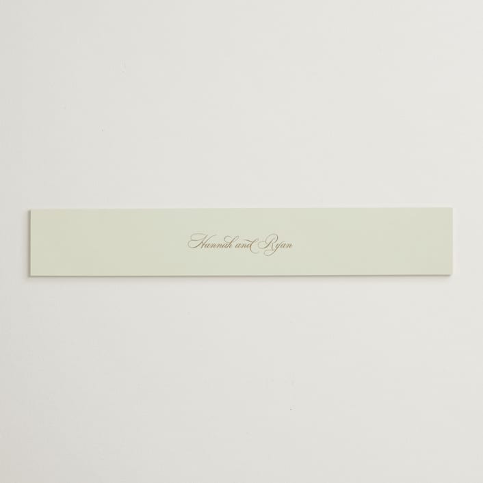 "Avalon" - Belly Bands in Chiffon by Everett Paper Goods - Assembled with Invitation