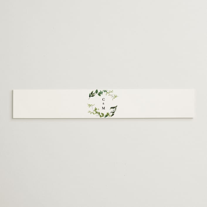 "Greenery" - Belly Bands in Fern by Susan Moyal - Assembled with Invitation