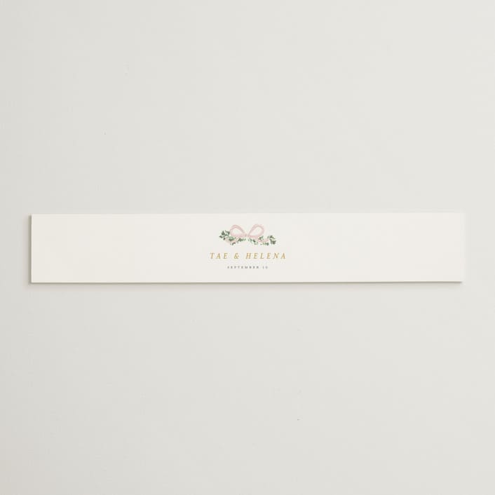 "Ribbonly Frame" - Belly Bands in Blush by Itsy Belle Studio - Assembled with Invitation