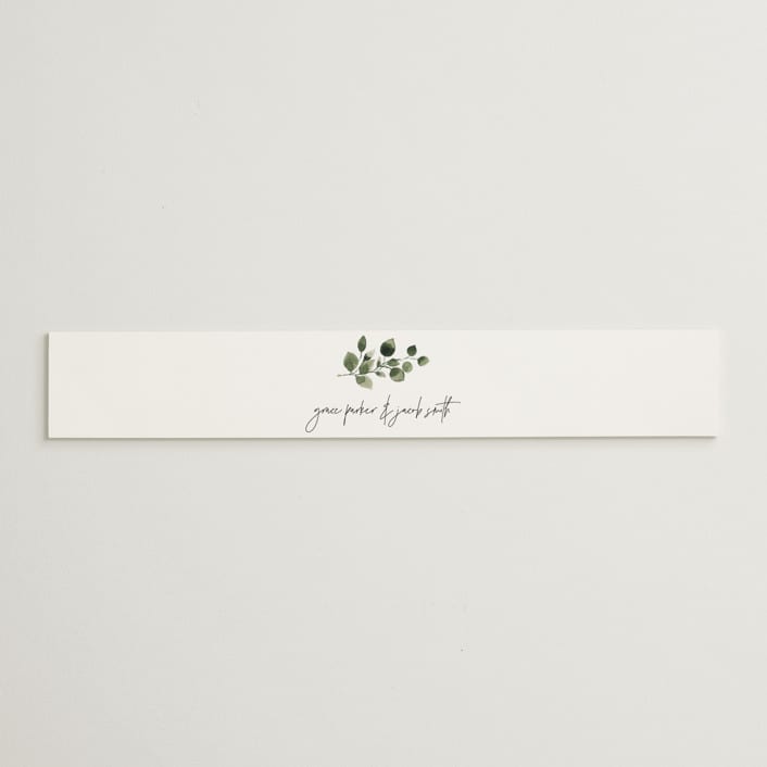 "green rush" - Belly Bands in Snow by Anupama - Assembled with Invitation
