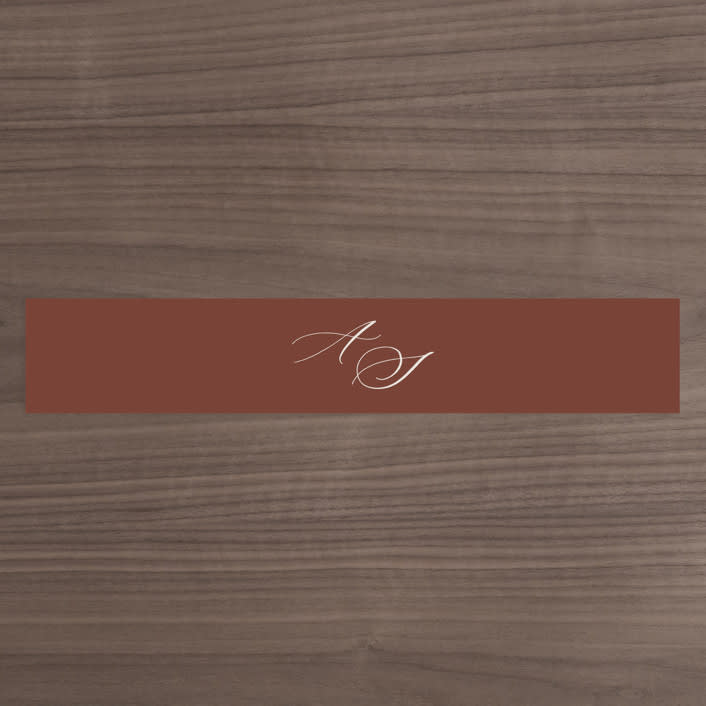 "Streamlined" - Belly Bands in Nutmeg by Nicole Barreto - Assembled with Invitation