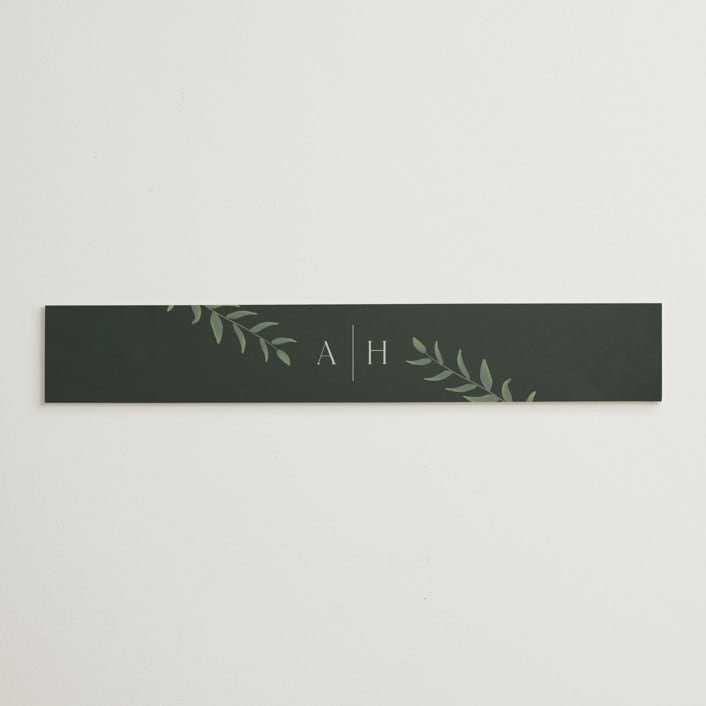 "Collection" - Belly Bands in Blanco by Kaydi Bishop - Assembled with Invitation
