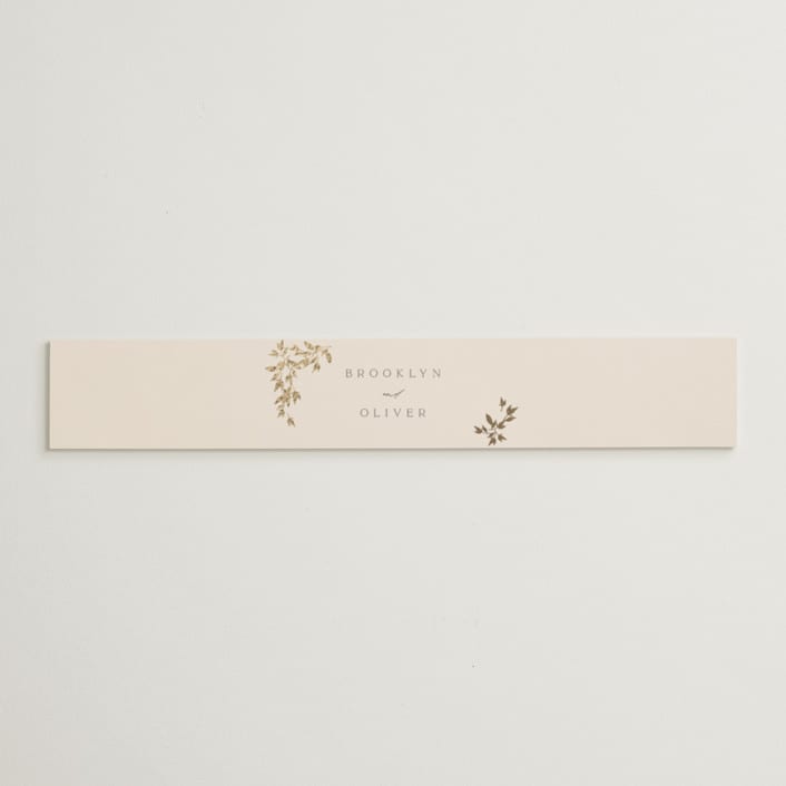"Everly" - Belly Bands in Latte by Kristie Kern - Assembled with Invitation