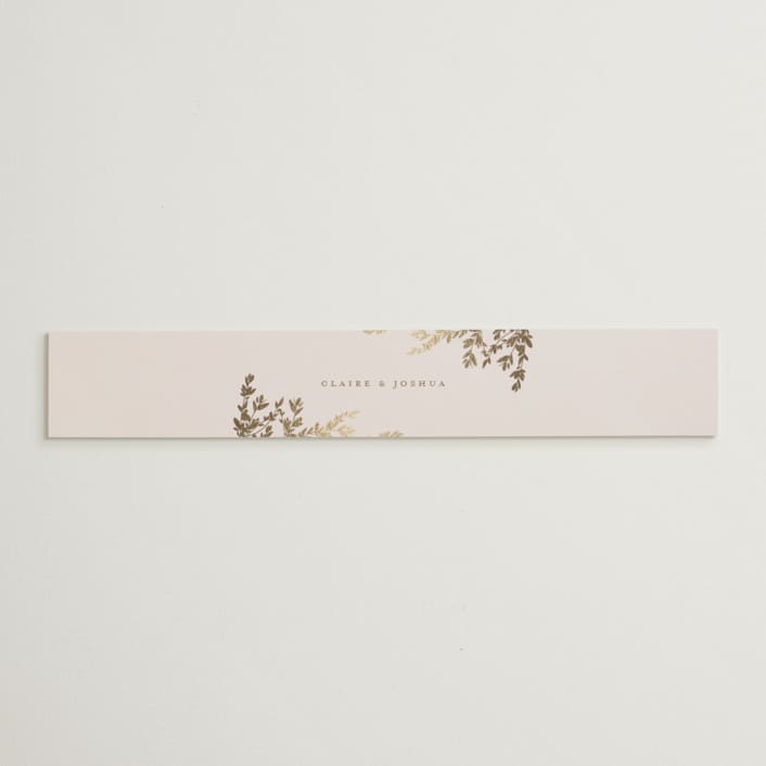 "Classique" - Belly Bands in Spun Sugar by Jessica Williams - Assembled with Invitation