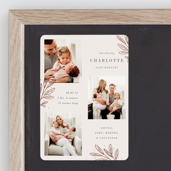 "Modern Botanica" - Birth Announcements in Rose by Oma N. Ramkhelawan - Front