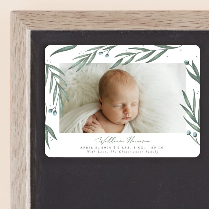 "Olive Branches" - Birth Announcements in Sage by Joanna Griffin - Front