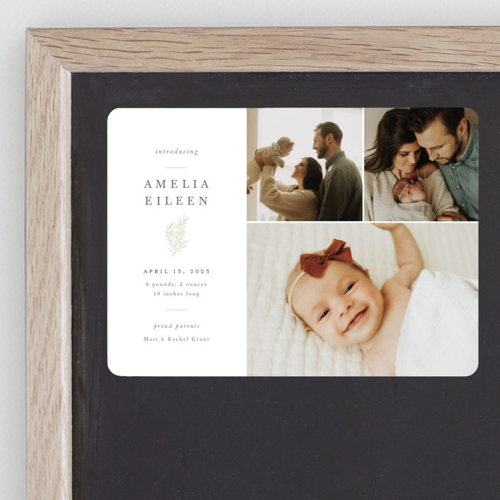 "Tiny Sprig" - Birth Announcements in Sage by Sarah Brown - Front