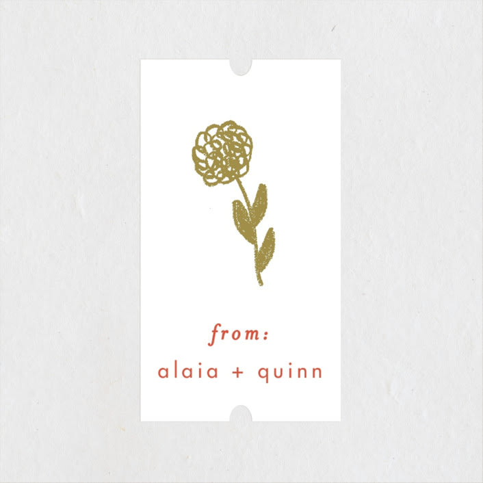 Alaia by Blustery August