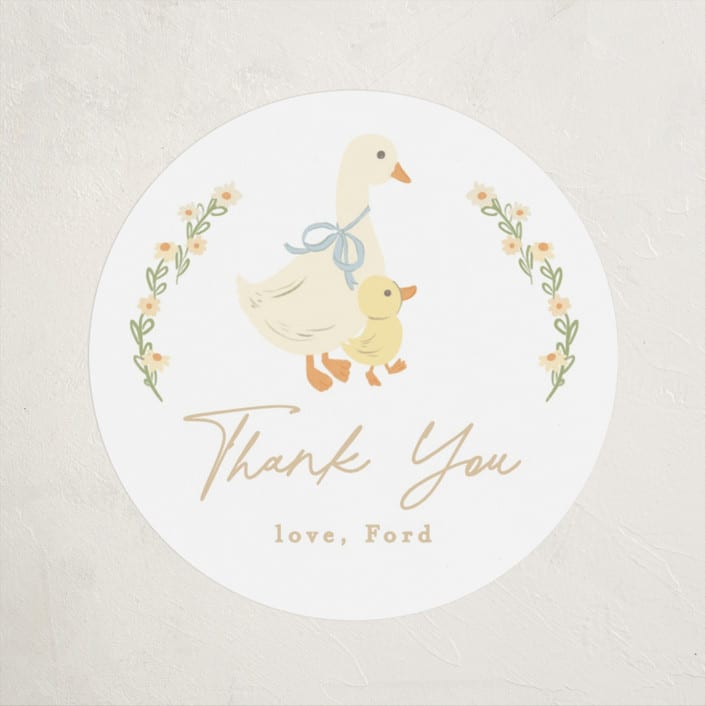 "Vintage goose" - Children's Birthday Party Stickers in Sky by Creo Study - Front