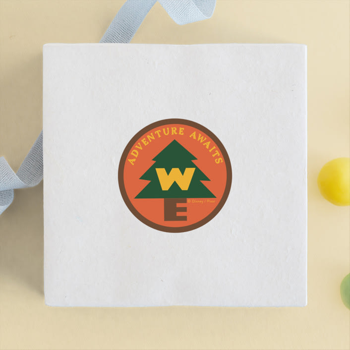 "Disney and Pixar's Up Wilderness Adventure" - Children's Birthday Party Stickers in Paradise by Kamala Nahas - Front
