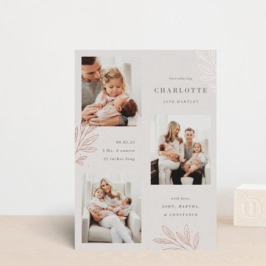 "Modern Botanica" - Birth Announcements in Rose by Oma N. Ramkhelawan - Front