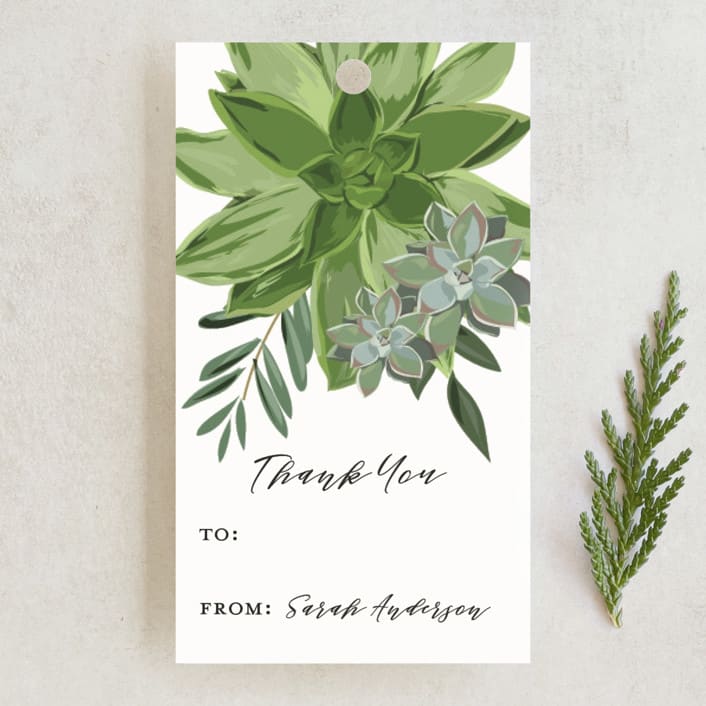 "Wrapped in Succulents" - Gift Tags in Ivory by Susan Moyal - Front