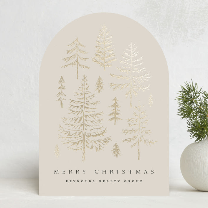 "Spruce Shine" - Holiday Cards in Cream by Amy Kross - Front