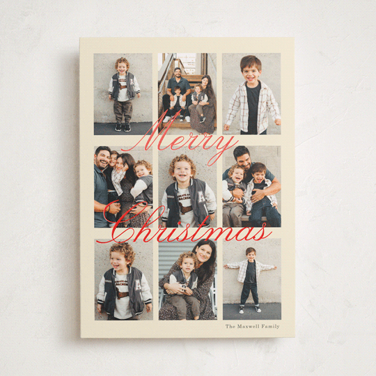 "Season Snapshot" - Holiday Cards in Champagne by Baumbirdy - Front