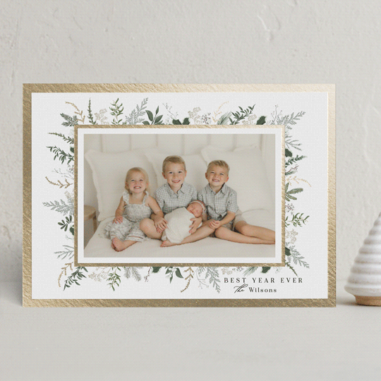 "Holly Framed" - Holiday Cards in Sage by Susan Moyal - Front