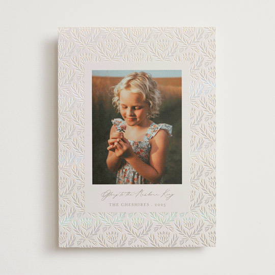 "Royale" - Holiday Cards in Pudding by Jen Owens - Front