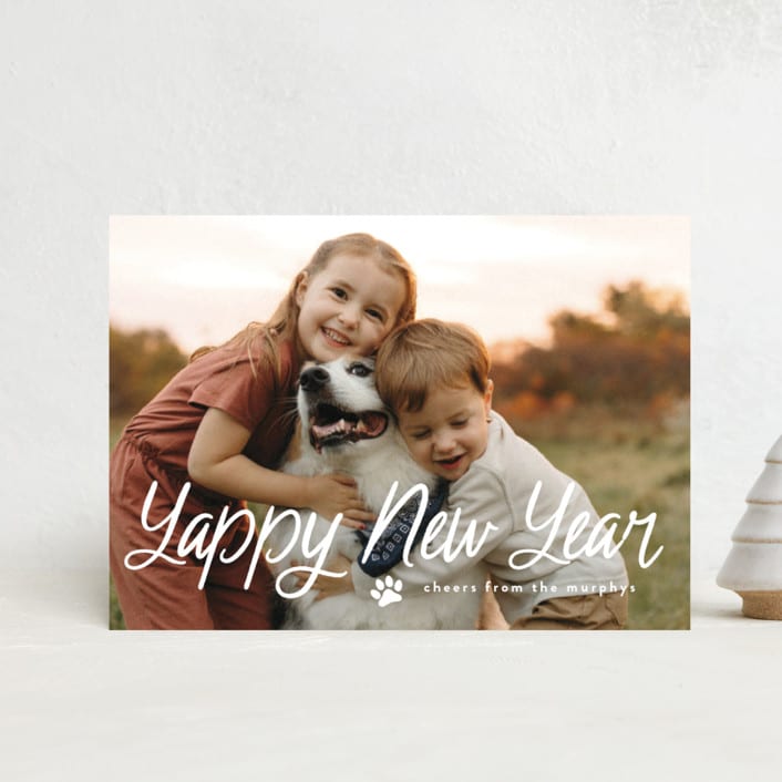 "Unleashed" - Holiday Cards in Snow by Annie Holmquist - Front