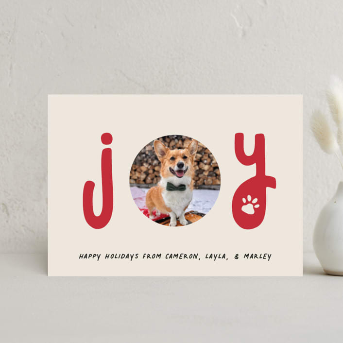 "Joyful Pet" - Holiday Cards in Candy Cane by Louise Kay - Front
