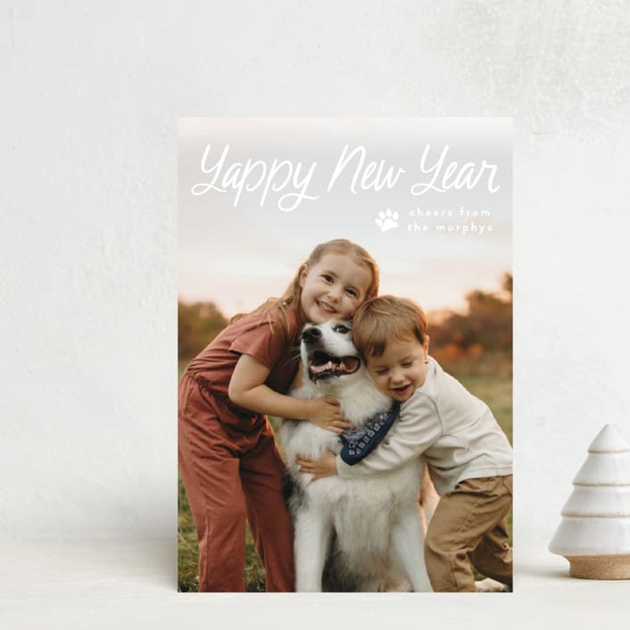 "Unleashed" - Holiday Cards in Snow by Annie Holmquist - Front