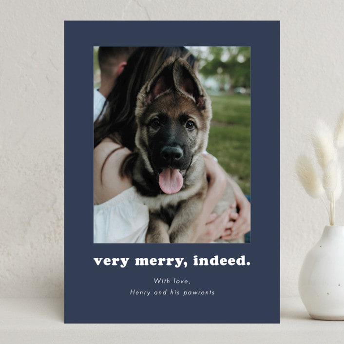 "Indeed" - Holiday Cards in Midnight by Kristen Knechtel - Front