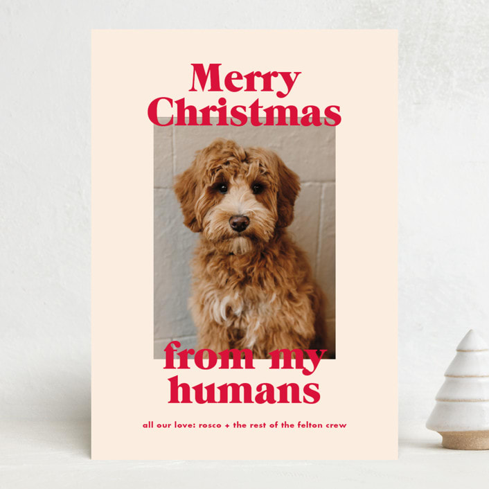 "Happy Howlidays" - Holiday Cards in Cherry by Annie Clark - Front