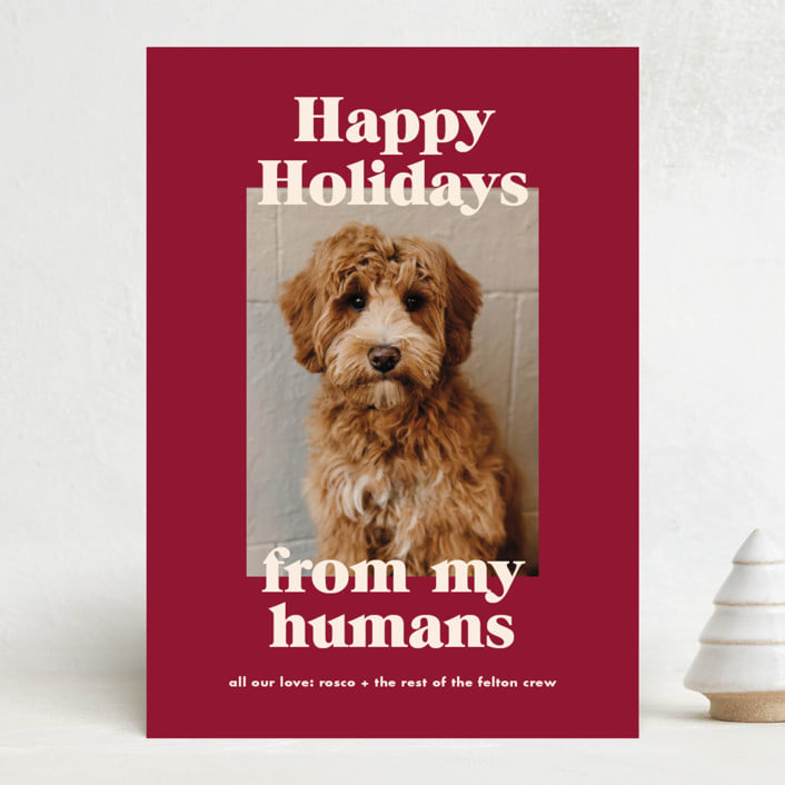 "Happy Howlidays" - Holiday Cards in Pomegranate by Annie Clark - Front