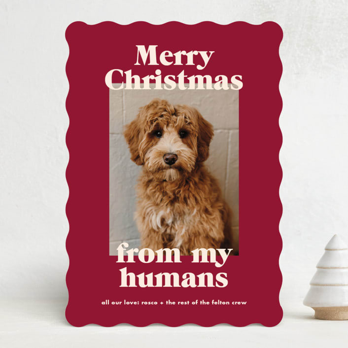 "Happy Howlidays" - Holiday Cards in Pomegranate by Annie Clark - Front