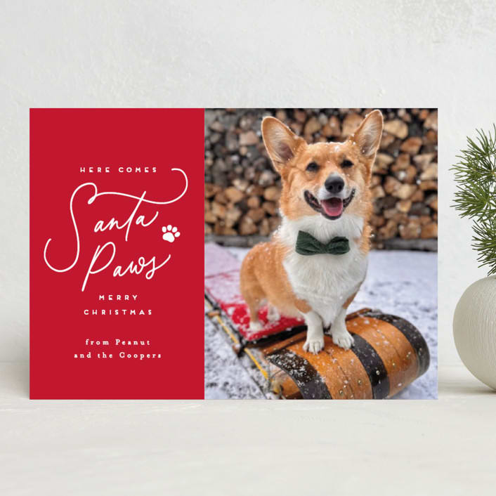"Here Comes Santa Paws" - Holiday Cards in Candied Apple by Everett Paper Goods - Front