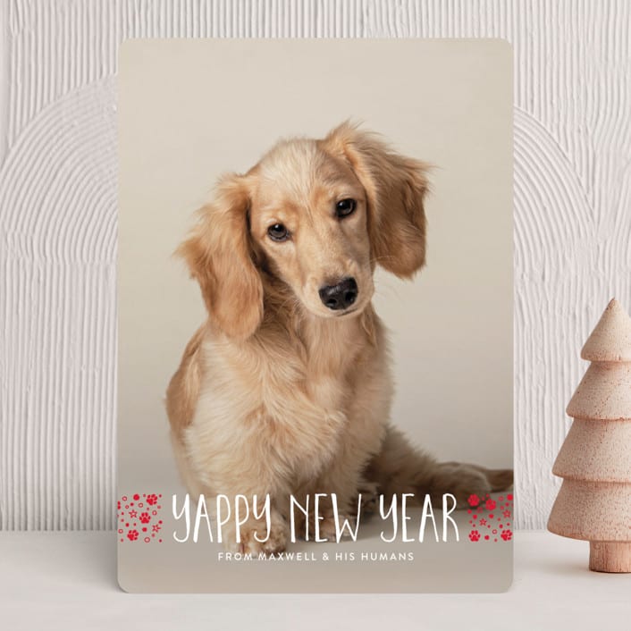 "naughty dog" - Holiday Cards in Fire Engine by Erin Deegan - Front