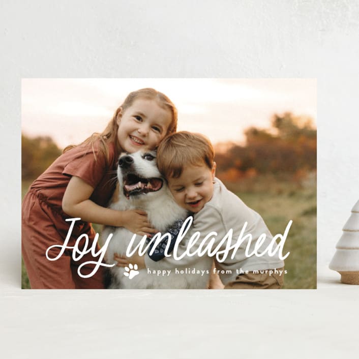 "Unleashed" - Holiday Cards in Snow by Annie Holmquist - Front