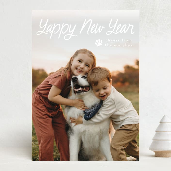 "Unleashed" - Holiday Cards in Snow by Annie Holmquist - Front