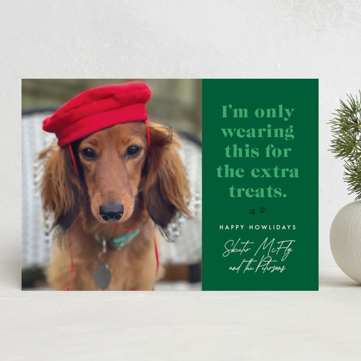 "For the Treats" - Holiday Cards in Emerald by 2birdstone - Front