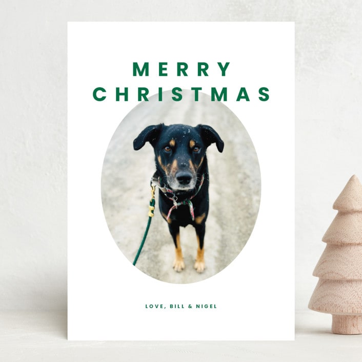 "Furever Merry" - Holiday Cards in Forest by Inkblot Design - Front