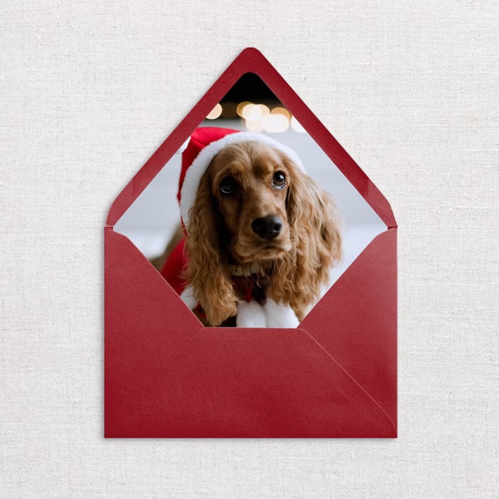 "Custom Pet Photo Envelope Liners, Pack of 25" - Envelope Liners in multicolorassorted-colors by Studio Lavender