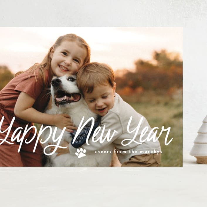 "Unleashed" - Holiday Cards in Snow by Annie Holmquist - Front