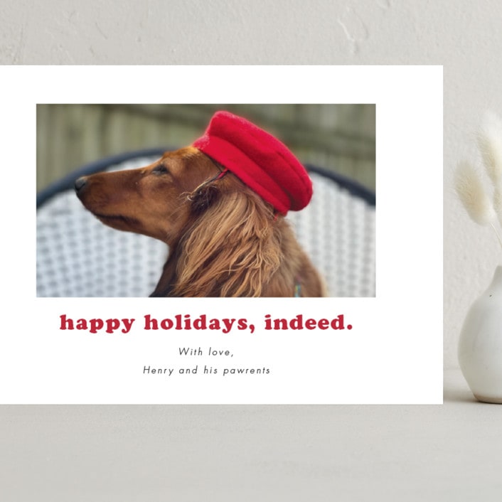 "Indeed" - Holiday Cards in Peppermint by Kristen Knechtel - Front