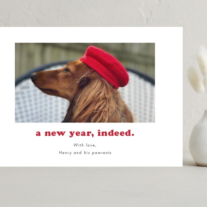 "Indeed" - Holiday Cards in Peppermint by Kristen Knechtel - Front