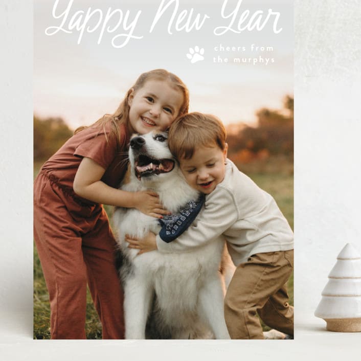"Unleashed" - Holiday Cards in Snow by Annie Holmquist - Front