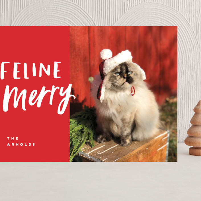 "Feline Merry" - Holiday Cards in Santa Suit by Chryssi Tsoupanarias - Front