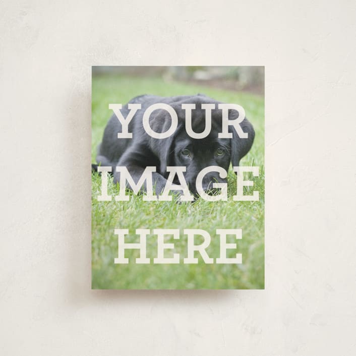 "Portrait" - Personalized Stationery Cards in White by Minted - Front