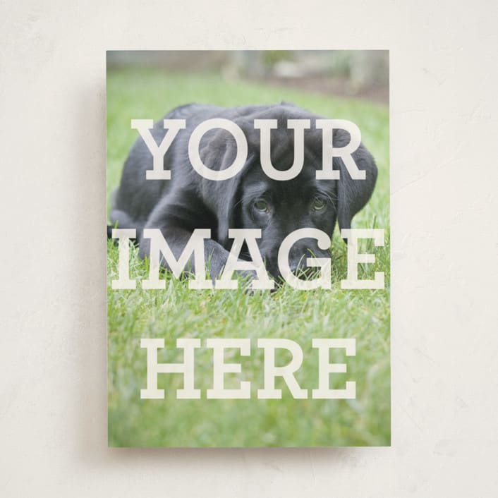 "Portrait" - Personalized Stationery Cards in White by Minted - Front