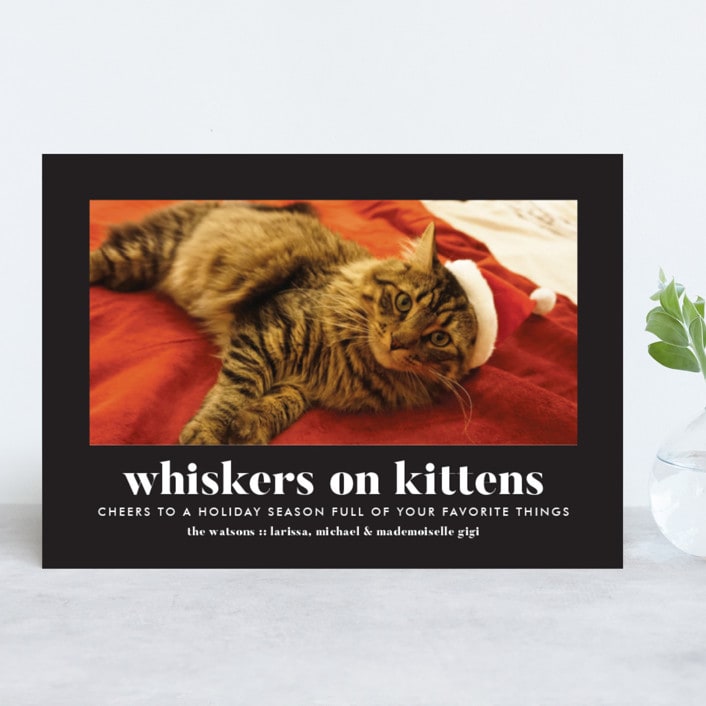 "Whiskers on Kittens" - Retired Holiday Cards in Licorice by Erika Firm - Front