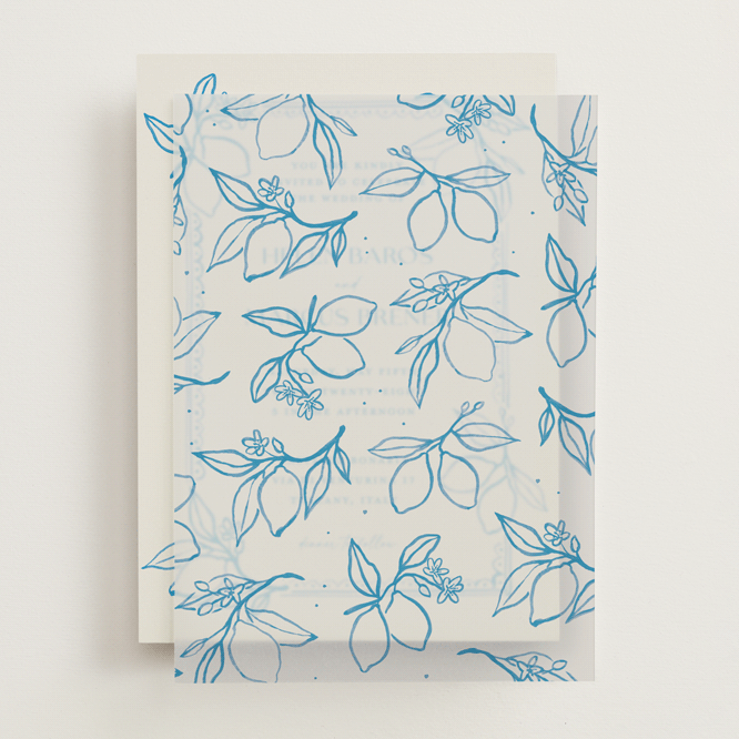 "Mediterraneo" - Vellum Overlays in Ocean by Pati Cascino - Front