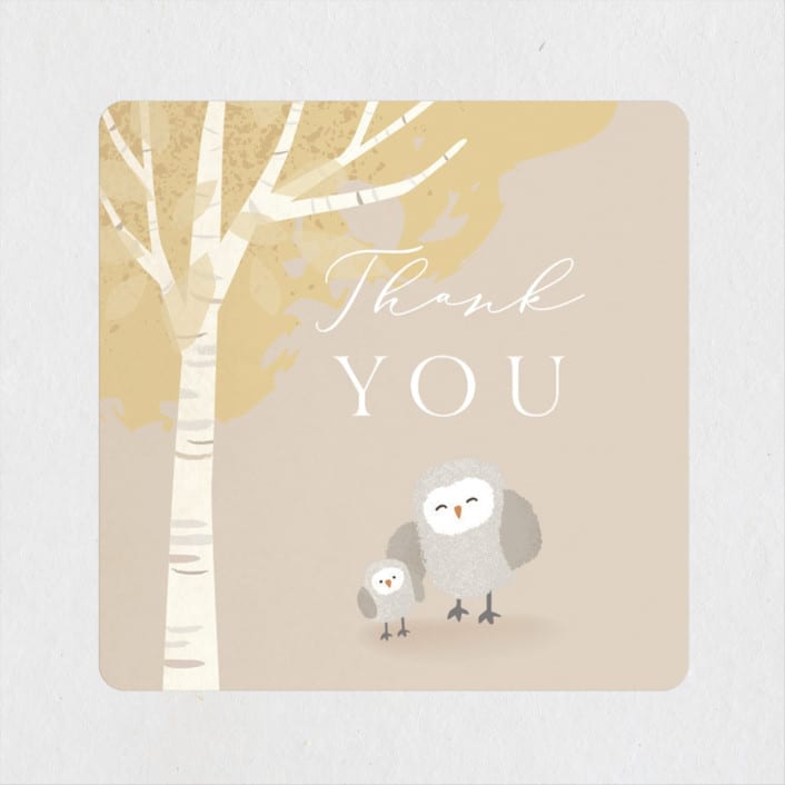 "Little owlet" - Baby Shower Stickers in Almond by Jennifer Wick - Close-Up