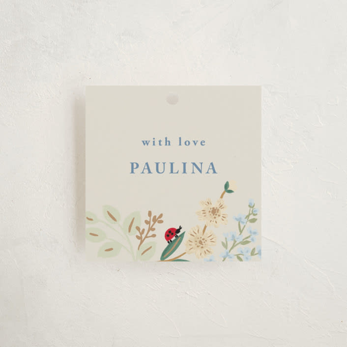 "Baby Flora" - Baby Shower Favor Tags in Sky by Petra Kern - Front