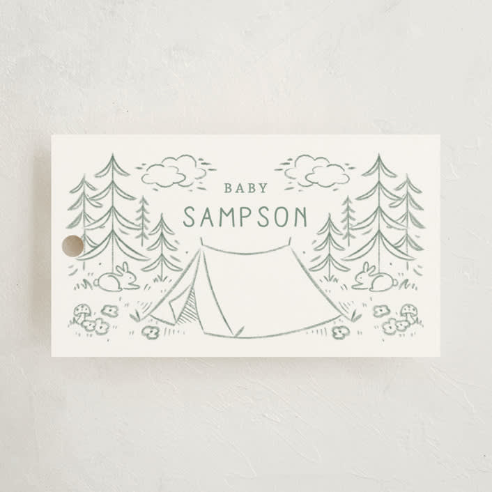 "The Adventure Begins" - Baby Shower Favor Tags in Sage by Kiersten Garner - Front