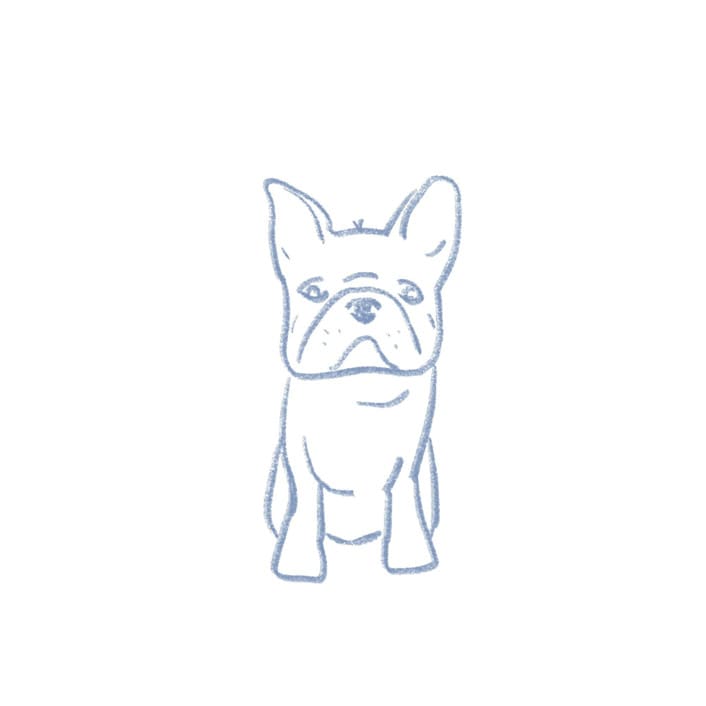 "Custom Pet Sketch Icon" - Commissioned Design Element in multicolor by Cotton and Bow