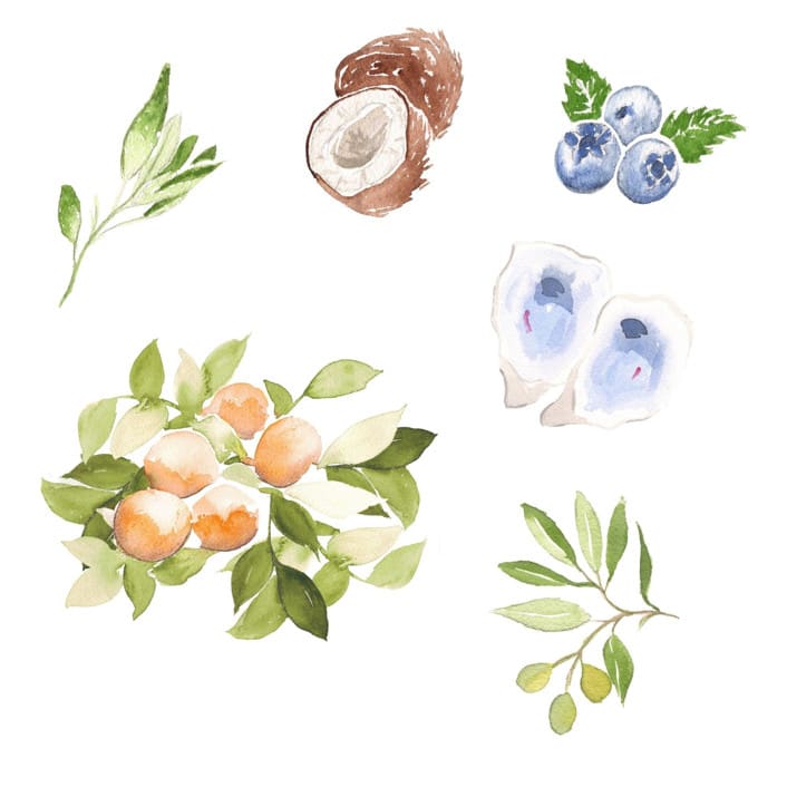"Custom Watercolor Icon" - Commissioned Design Element in multicolor by Cotton and Bow