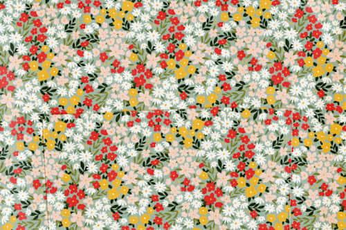 This is a scarlet aprons by Kelsey Carlson called field of florals in standard